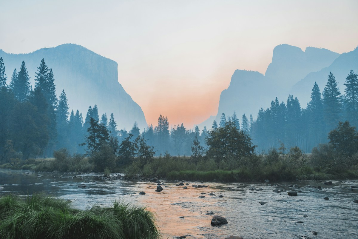 Mist Valley Landscape